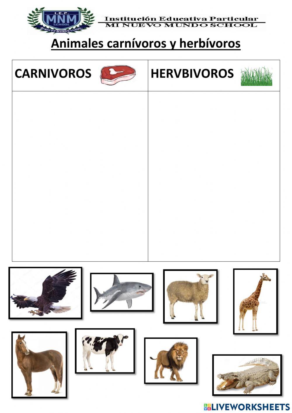 Animales carnivoros y herbivoros