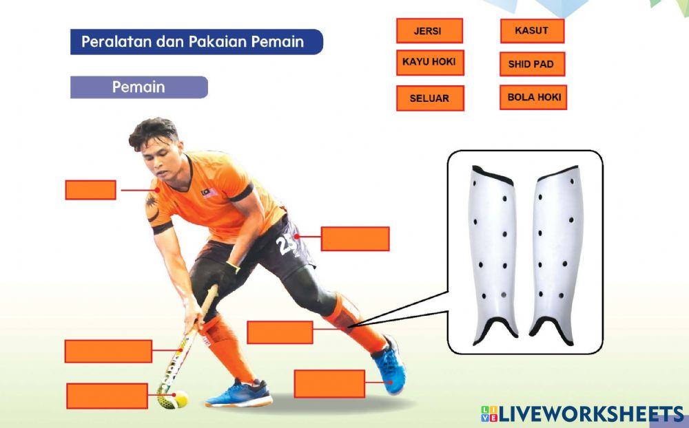 Pengenalan kepada hoki