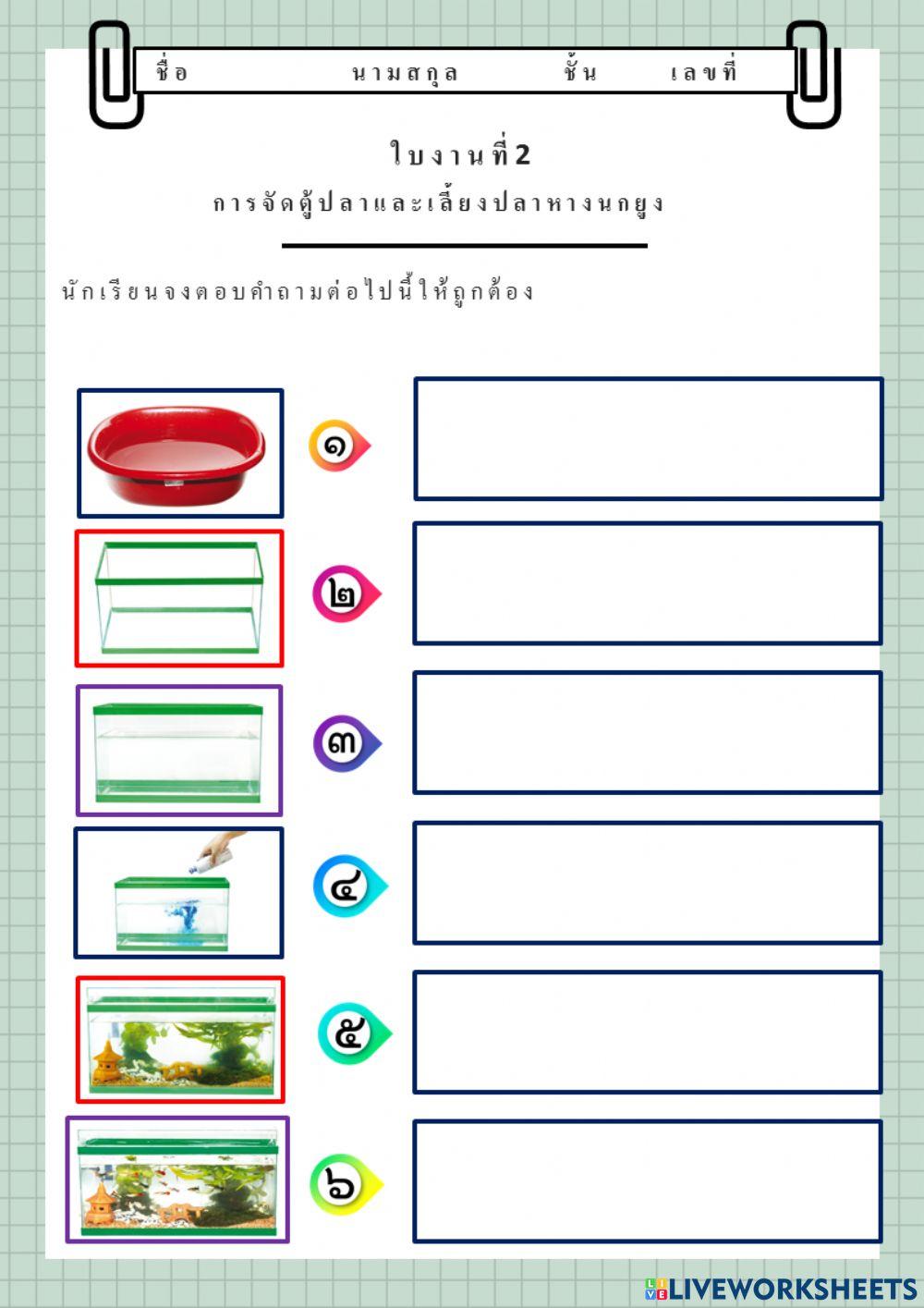 ขั้นตอนการเลี้ยงปลาหางนกยูง