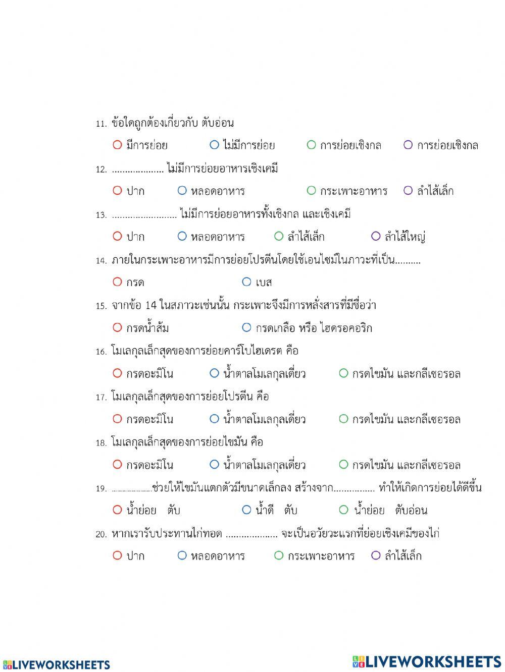 ระบบย่อยอาหาร