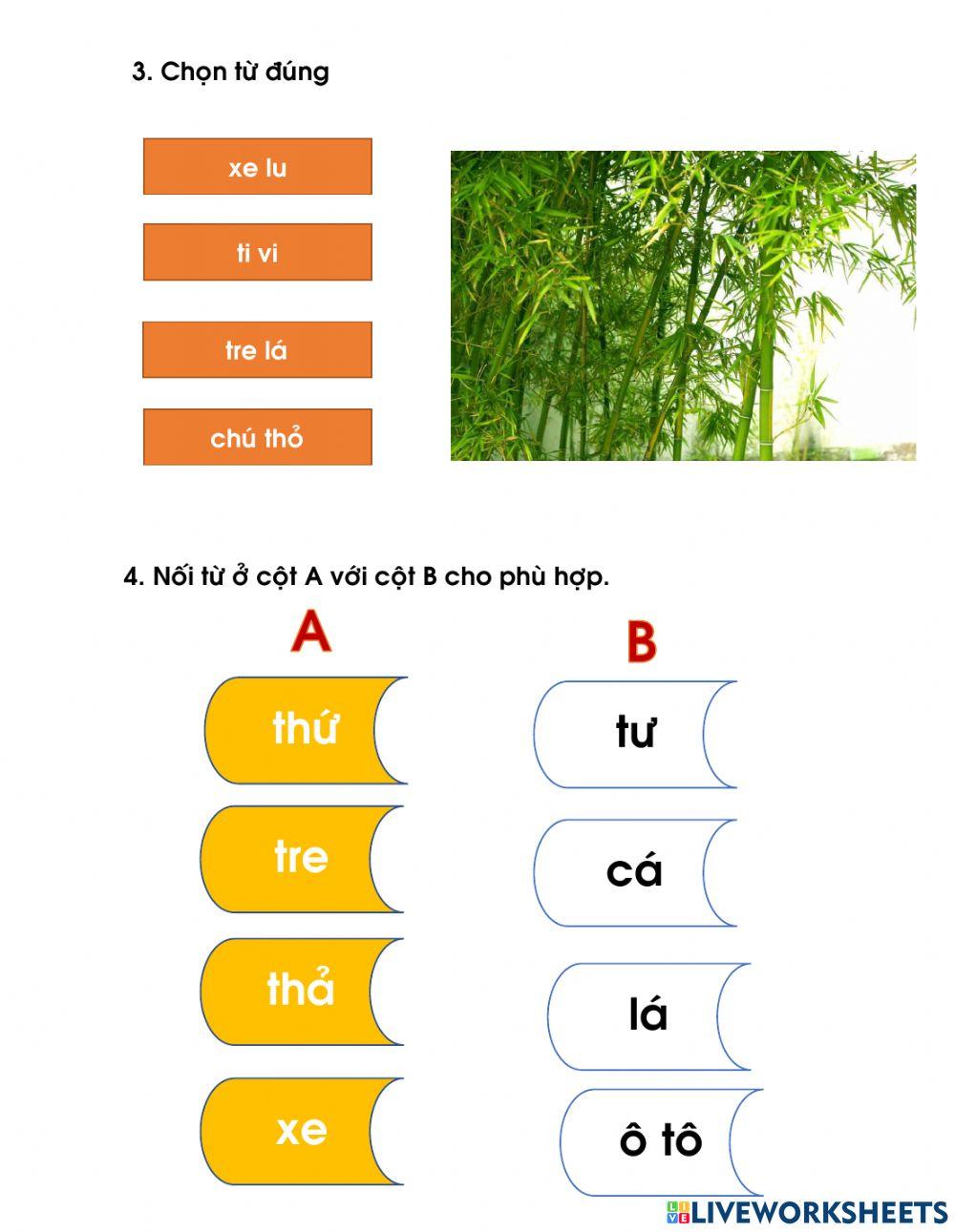 Bài ôn tập t th tr