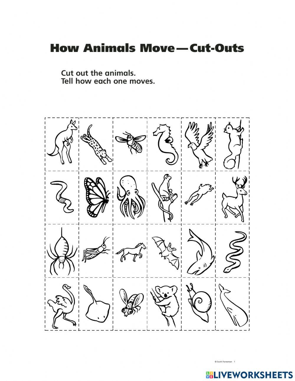 Vertebrates and Invertebrates