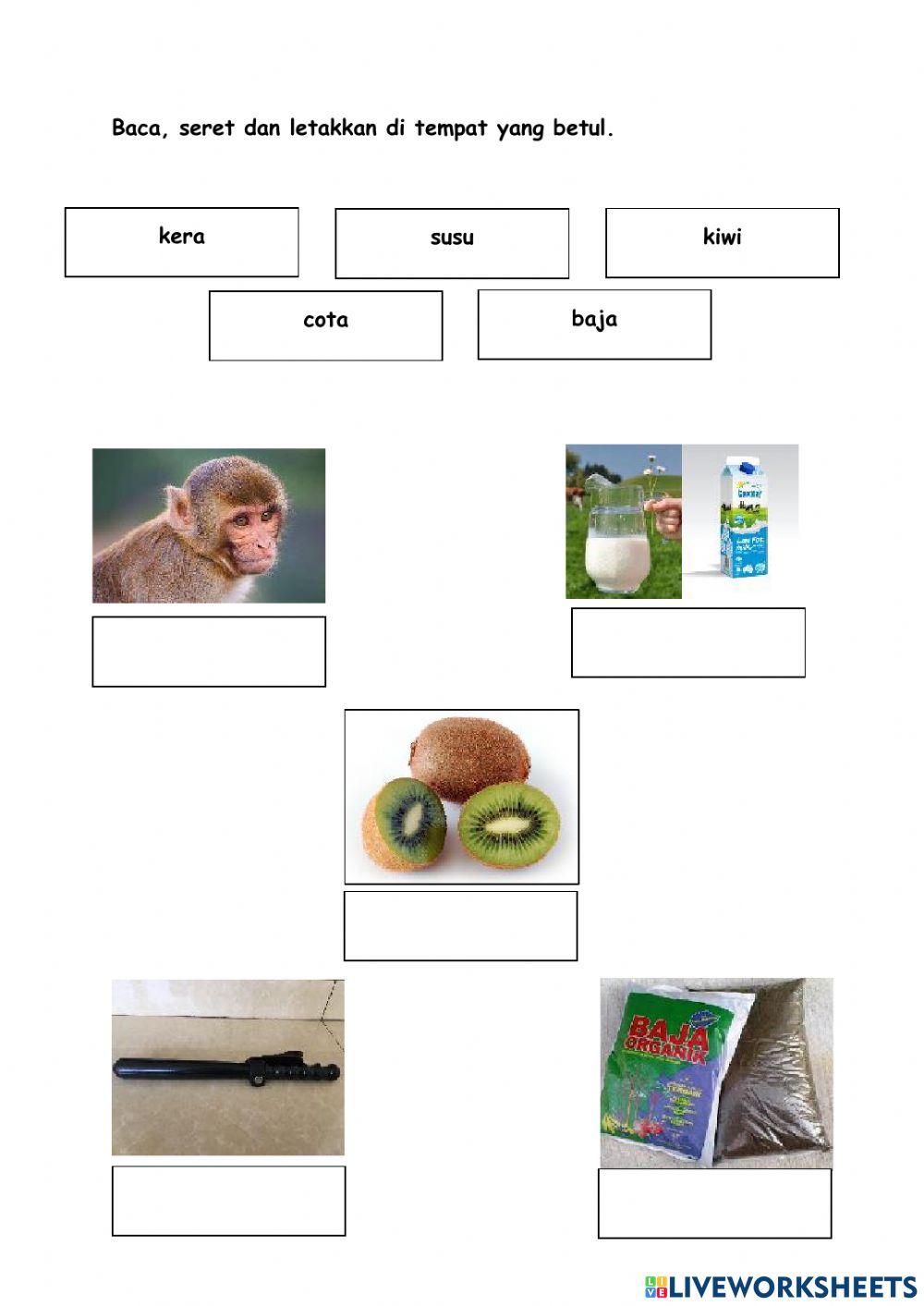 Latihan kemahiran membaca dan menulis