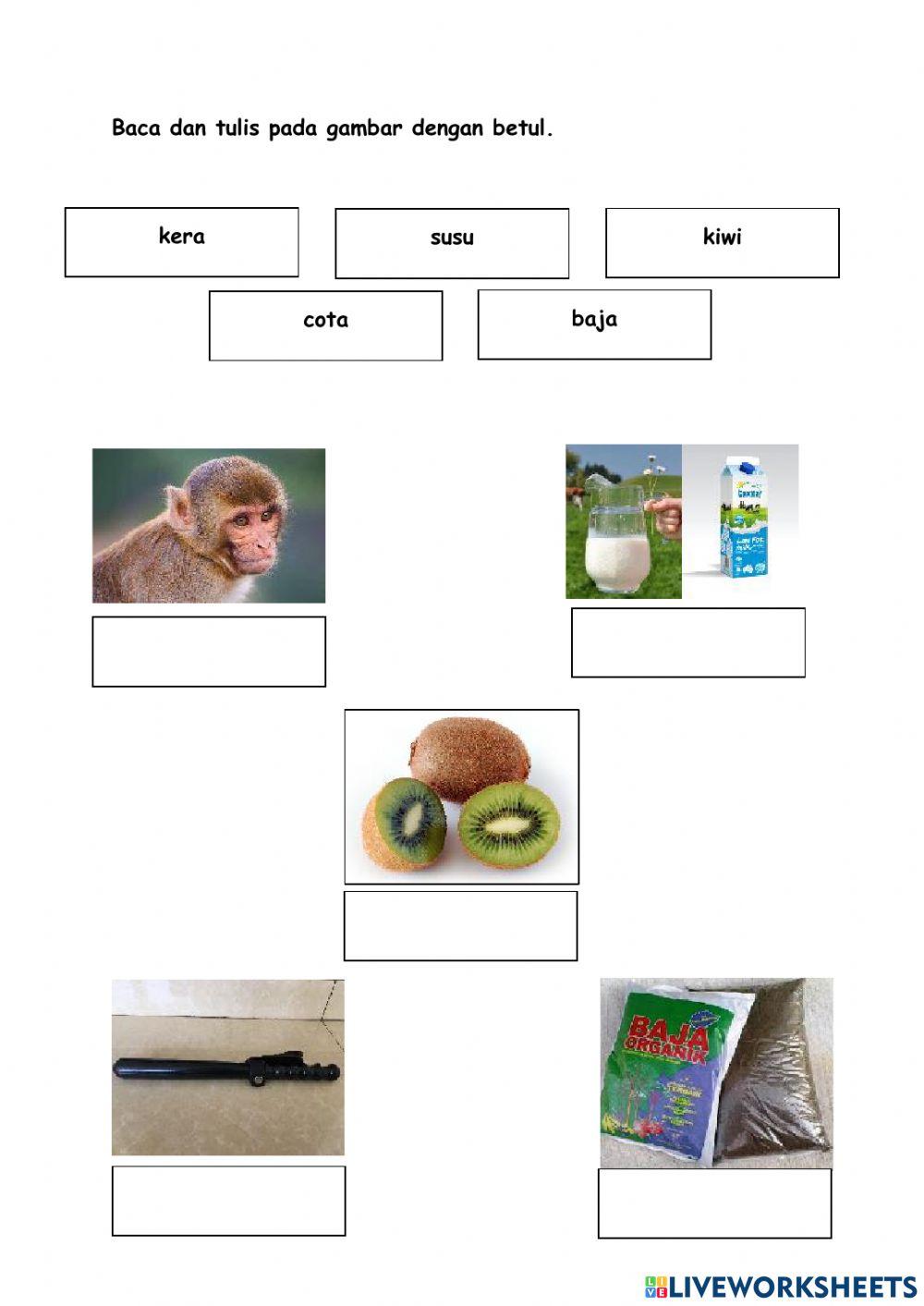 Latihan kemahiran membaca dan menulis