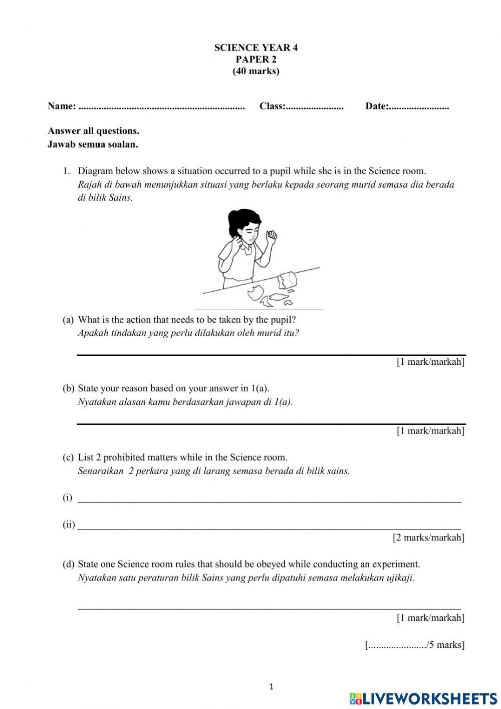 Year 4 Science DLP Exam