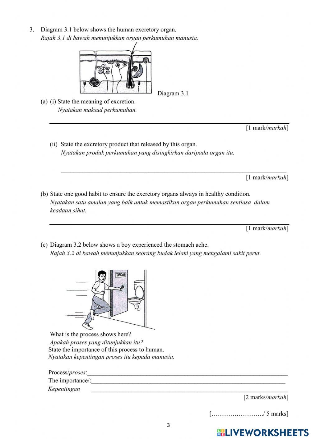 Year 4 Science DLP Exam