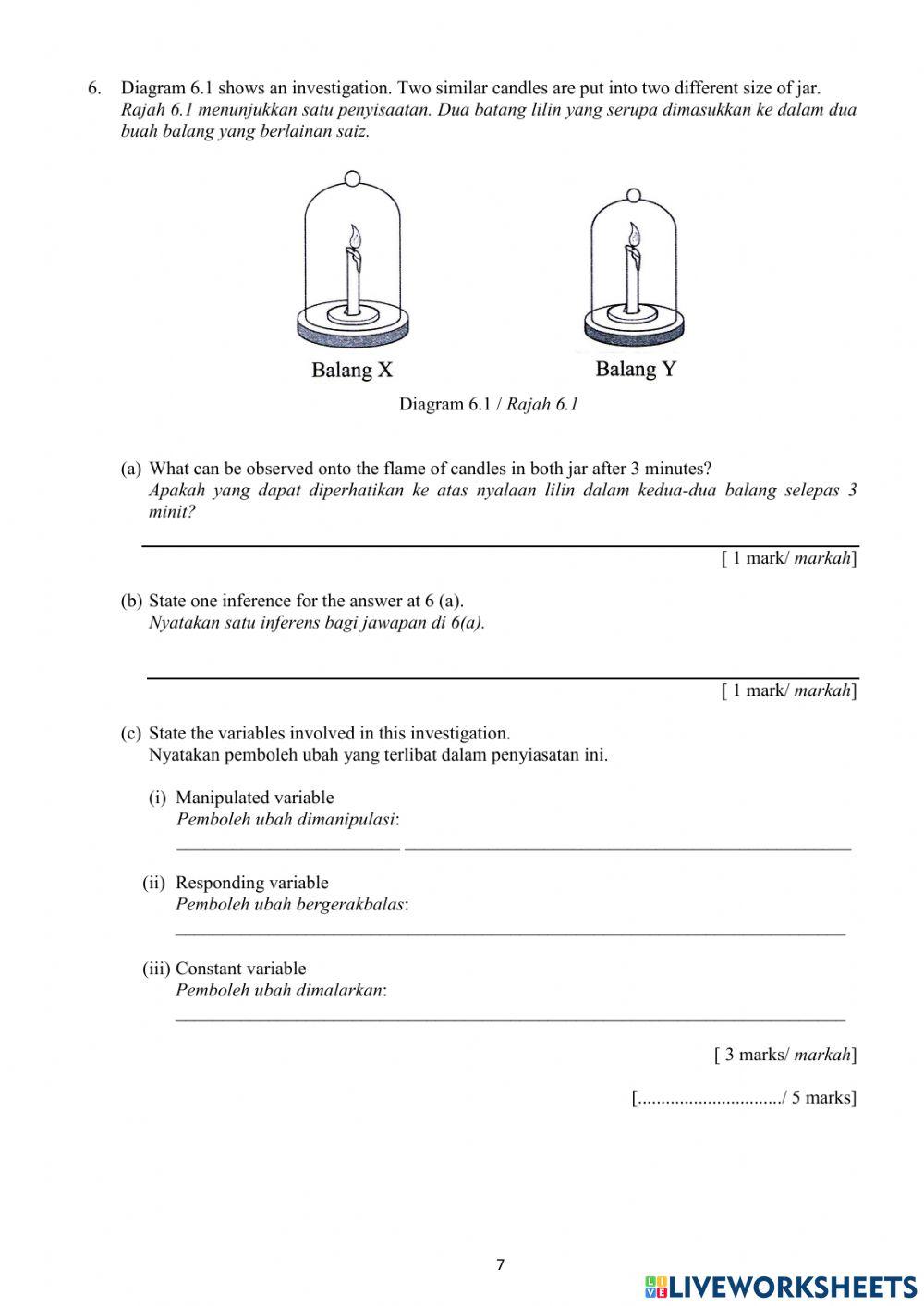 Year 4 Science DLP Exam