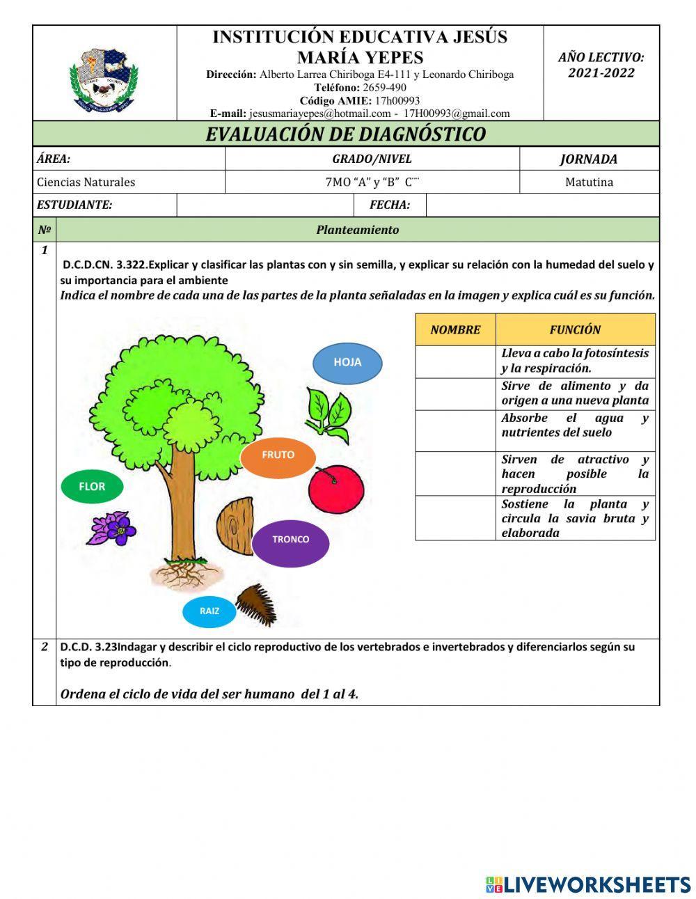 Prueba de diagnostico Ciencias Naturales