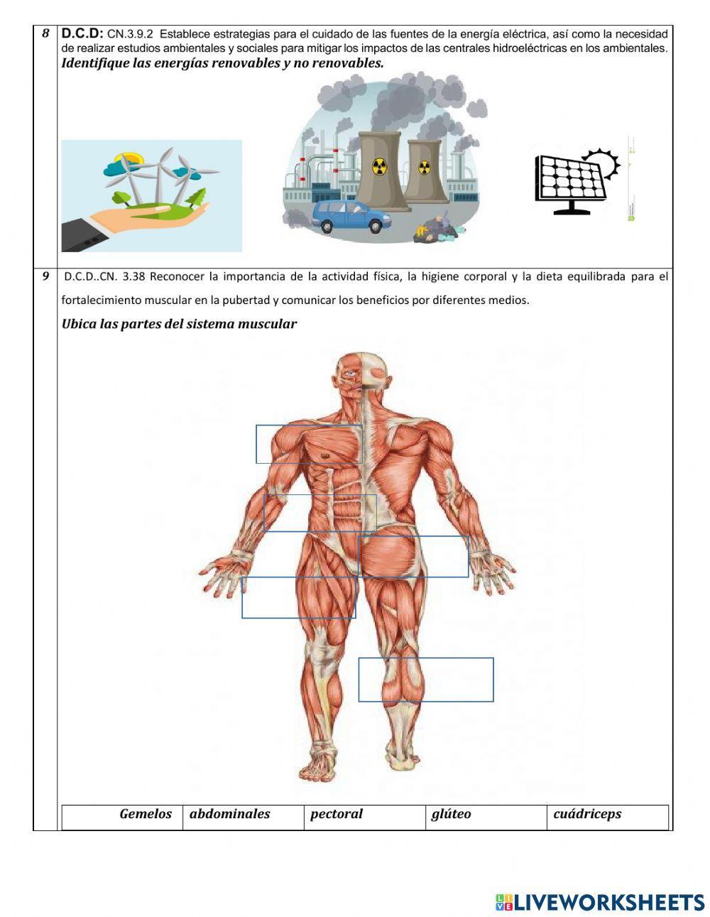 Prueba de diagnostico Ciencias Naturales
