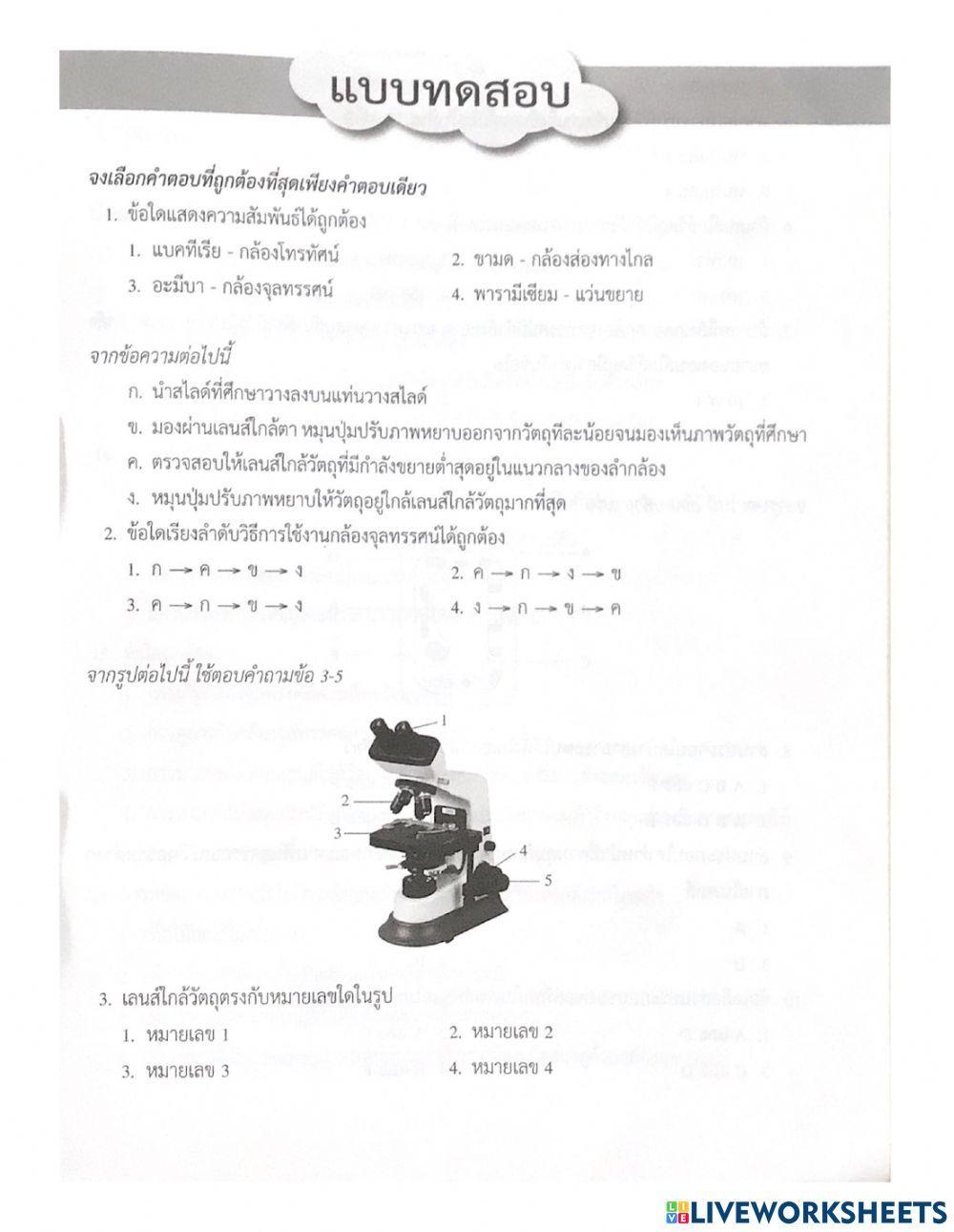 แบบทดสอบหน่วยสิ่งมีชีวิต