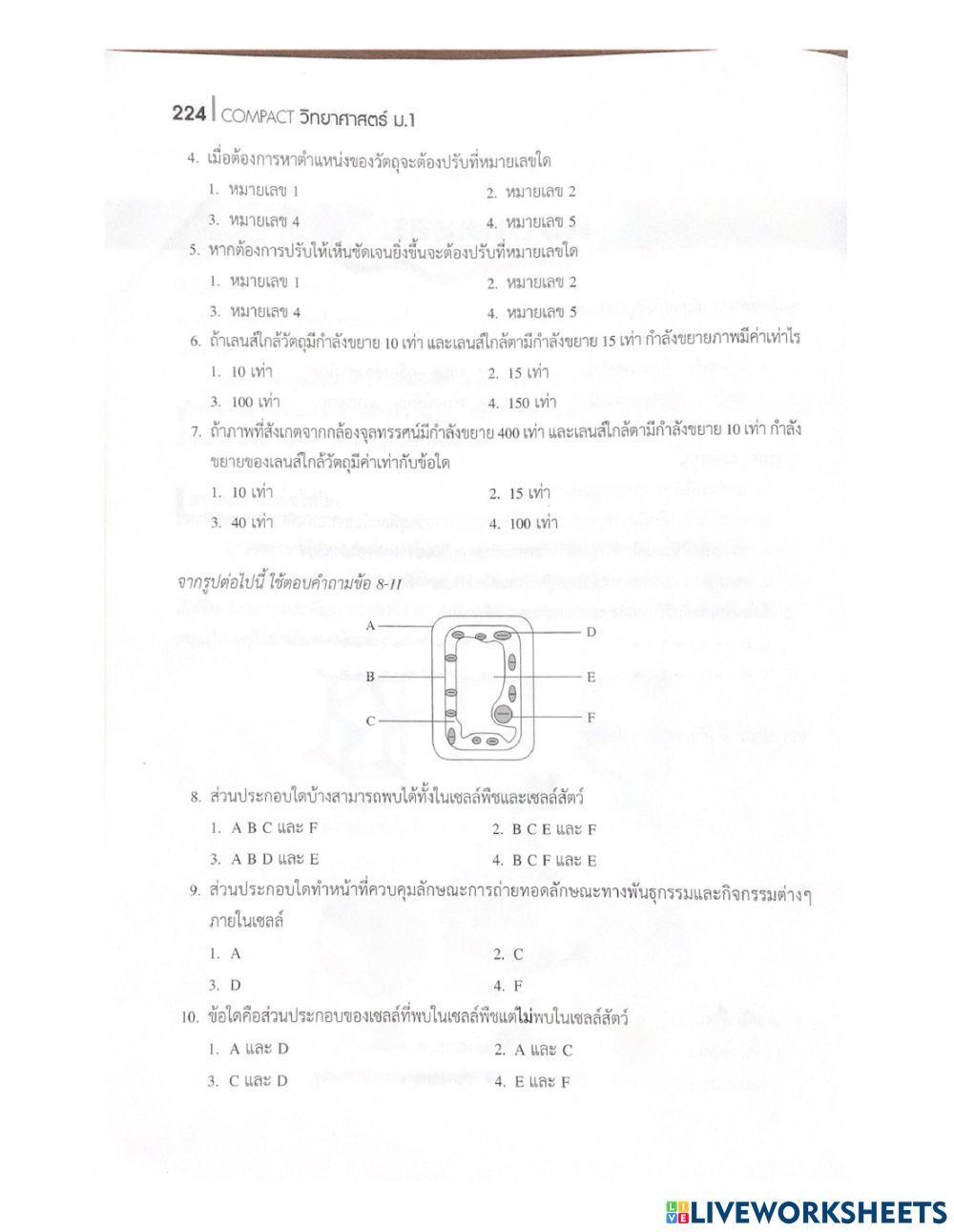 แบบทดสอบหน่วยสิ่งมีชีวิต
