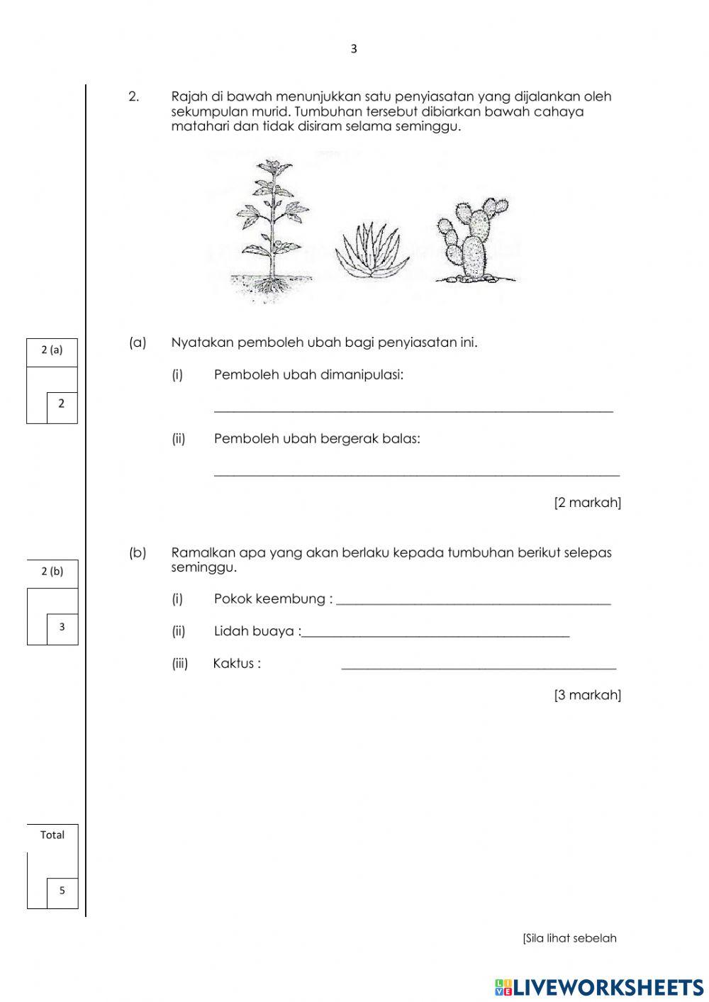 Soalan Tahun 5 Kertas 2
