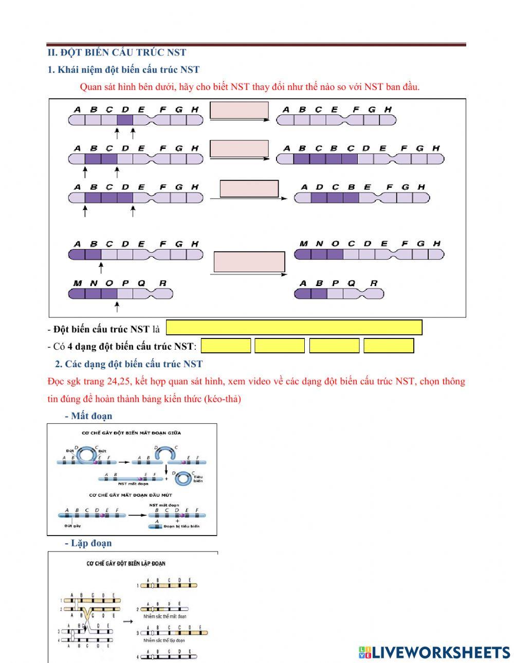 Bài 5,sinh12,nst và đột biến cấu trúc nst