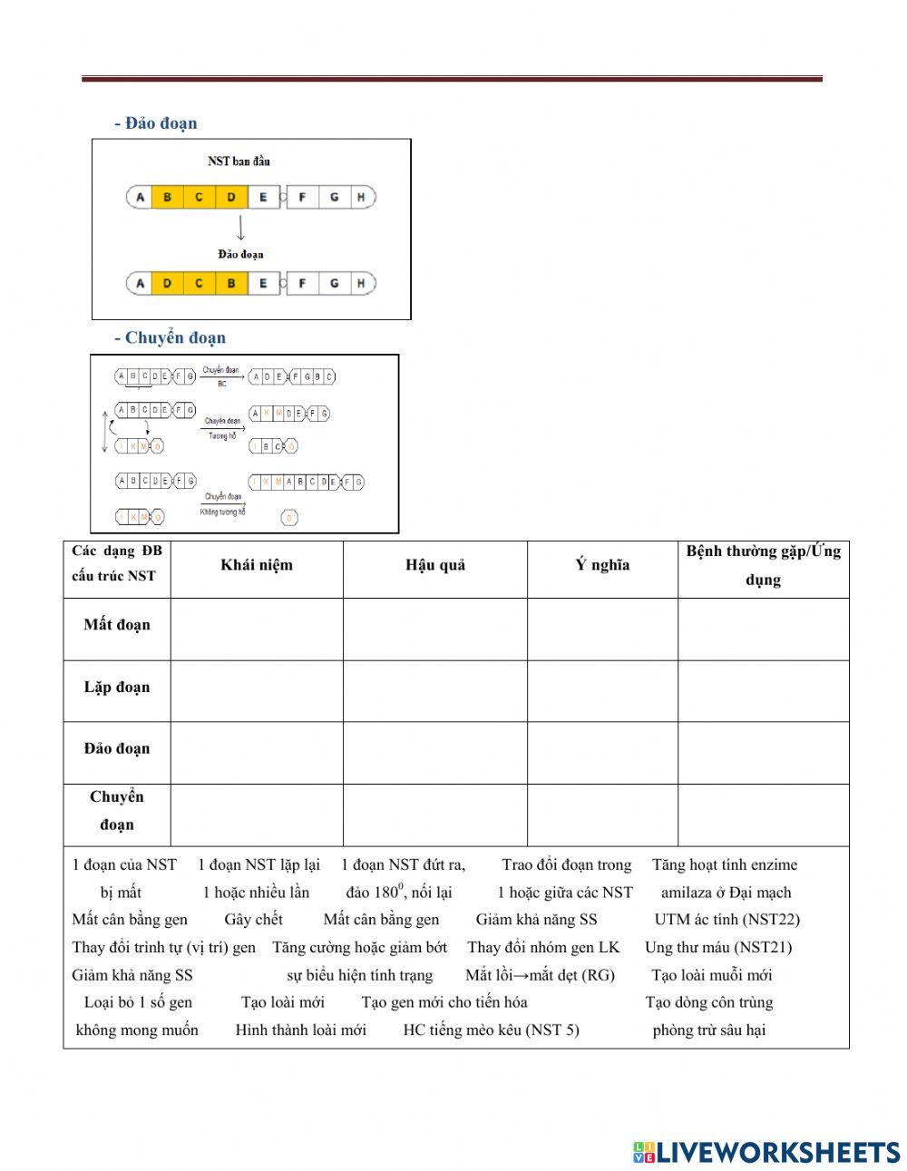 Bài 5,sinh12,nst và đột biến cấu trúc nst