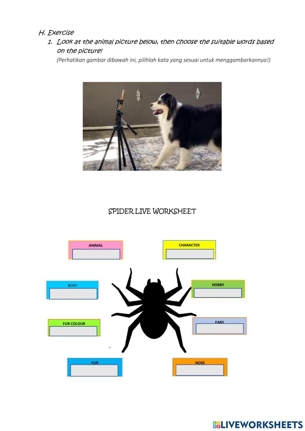 Lkpd bahasa inggris ervina