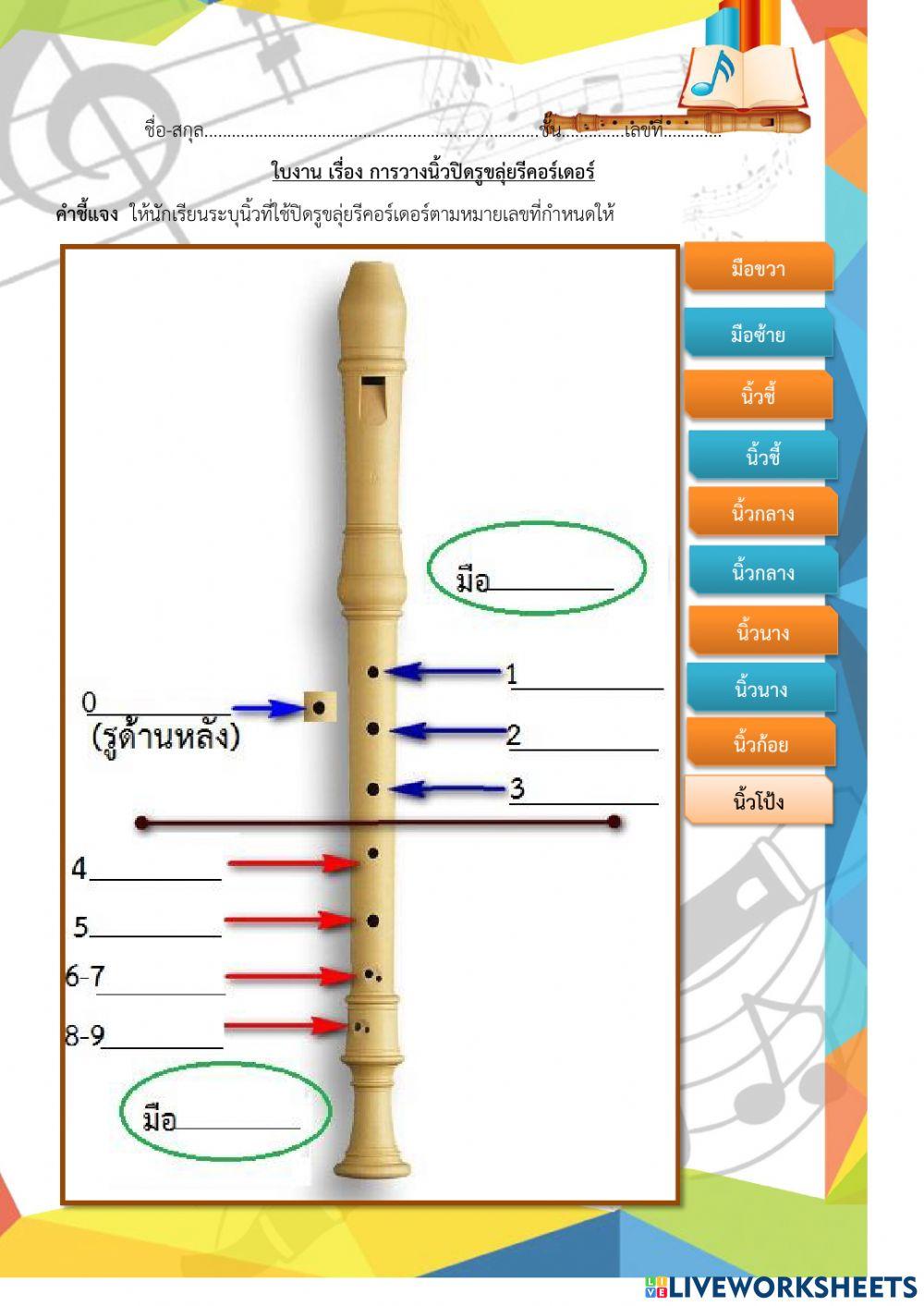 ใบงานตำแหน่งขลุ่ยรีคอร์เดอร์