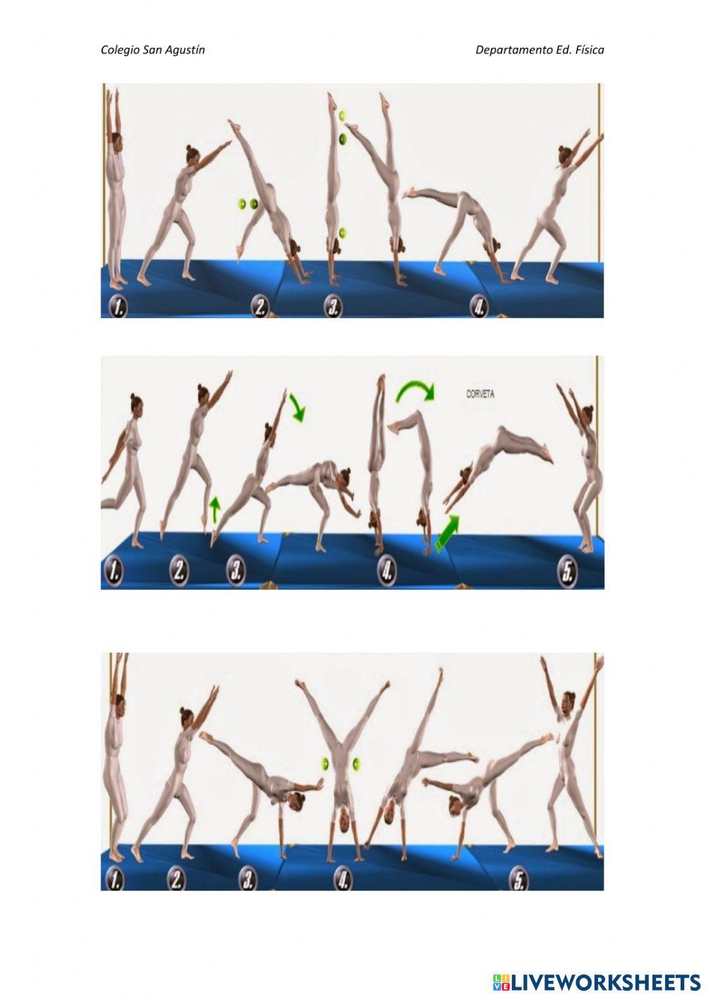 Habilidades gimnásticas