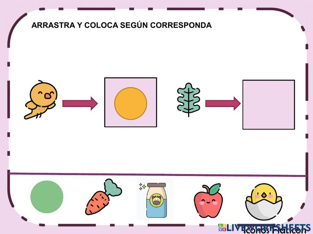 1 Funciones ejecutivas
