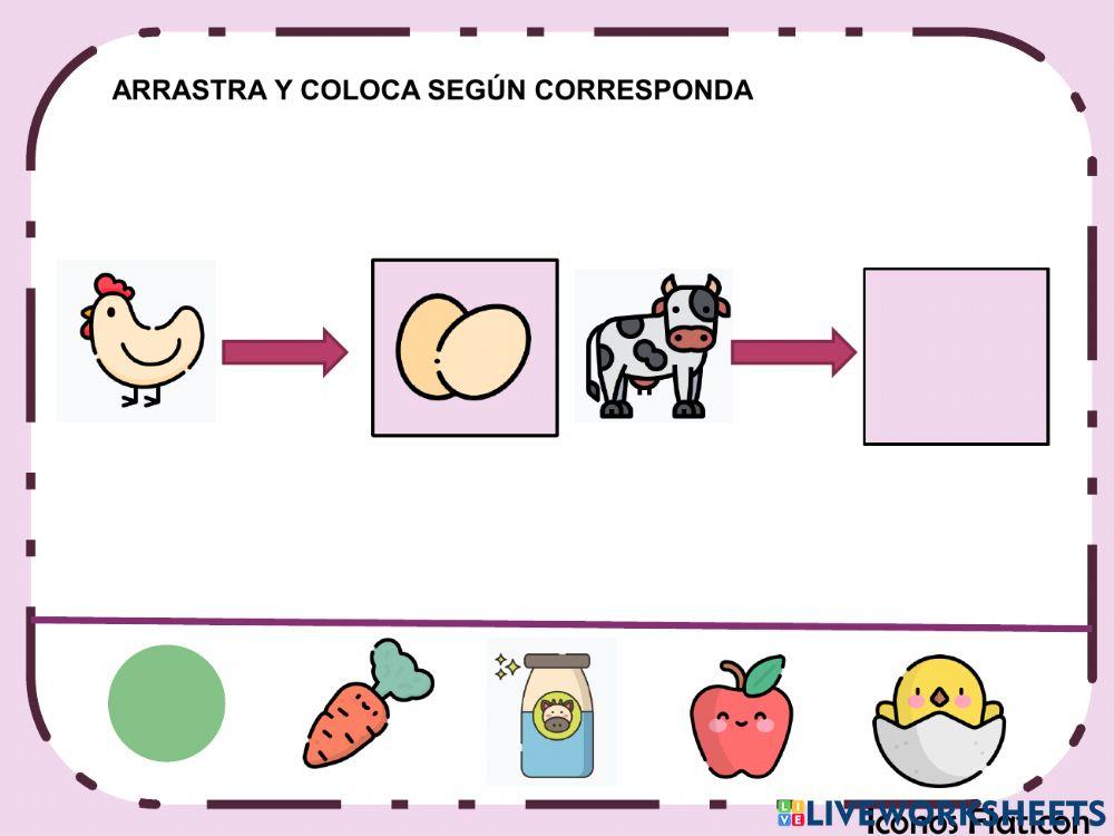 1 Funciones ejecutivas