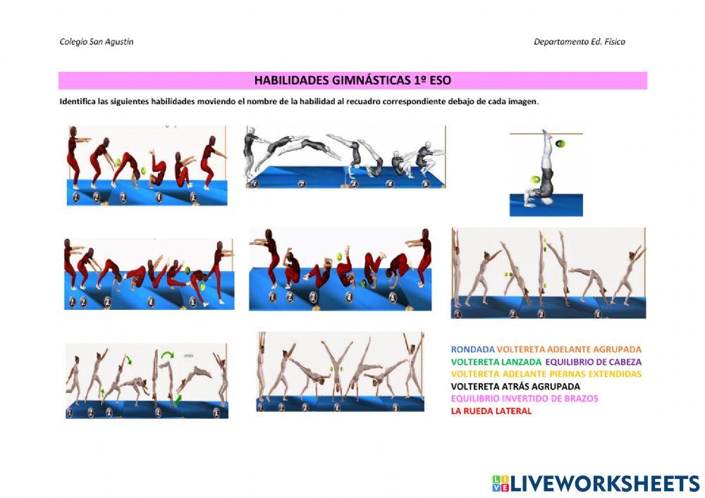 Habilidades gimnásticas - unir