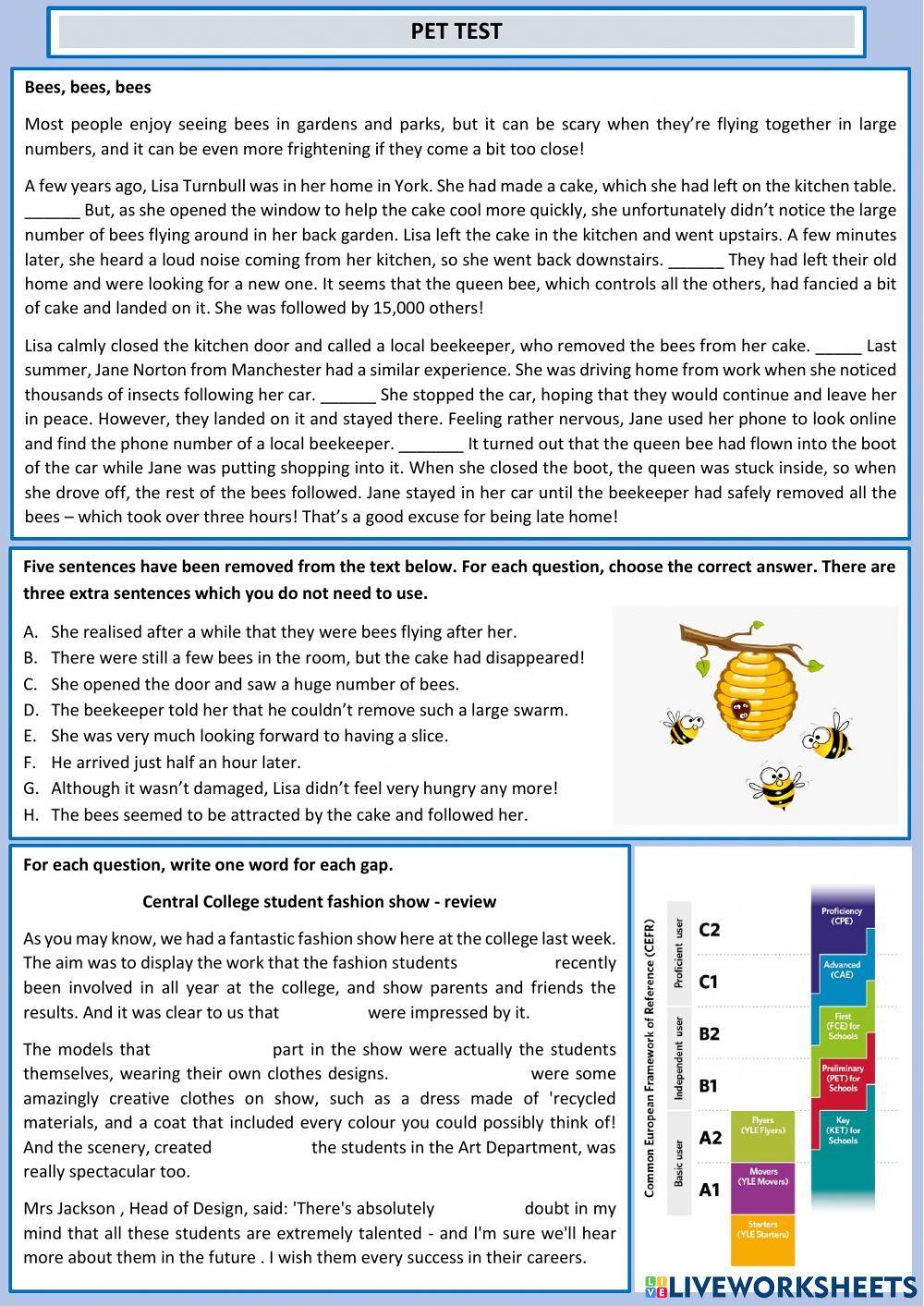 rarean Pet test 1379333 LiveWorksheets