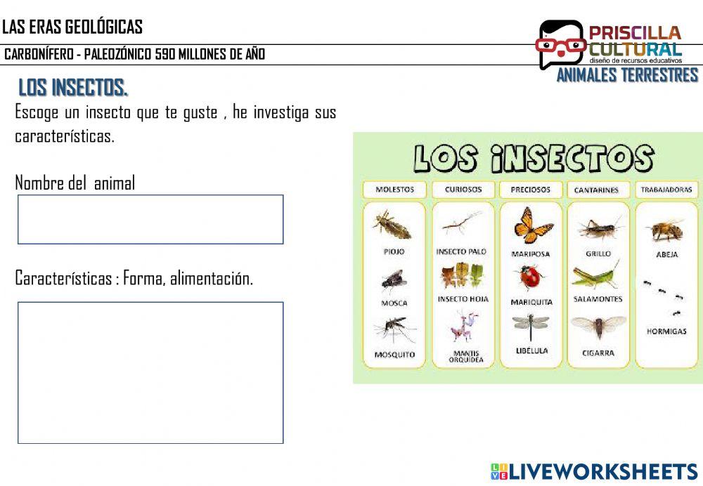 Era Geologica: Carbonífero- Insectos