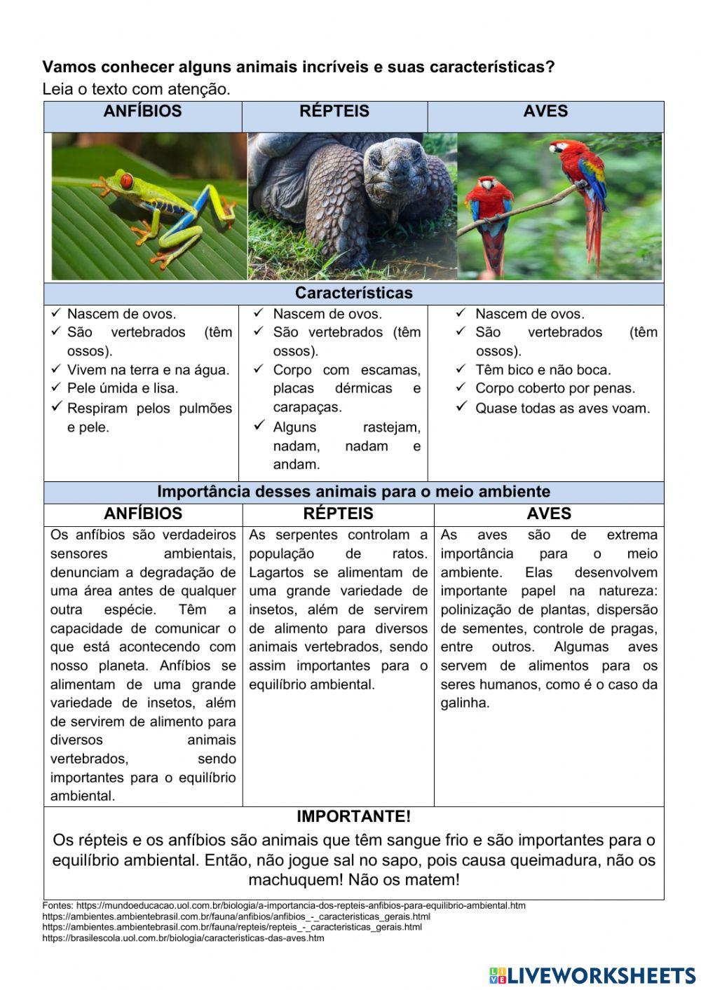 Exercício interdisciplinar