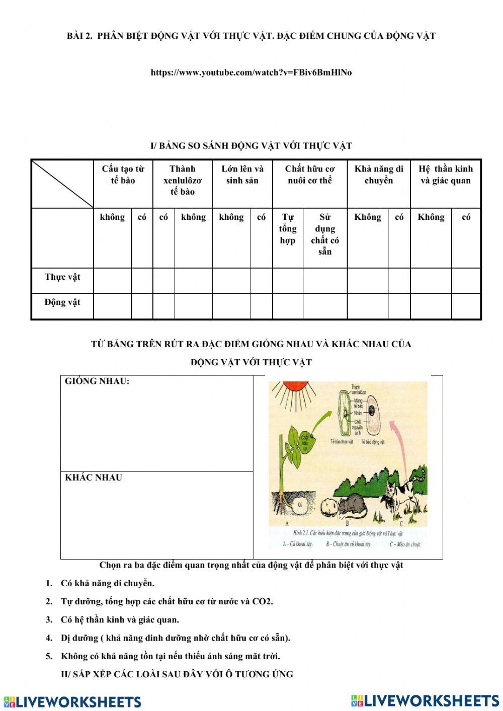 Phân biệt động vật với thực vật, đặc điểm chung của động vật