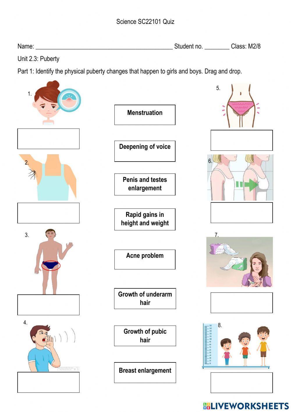 Puberty 1379770 Naknakferdinand Live Worksheets puberty-1379770-naknakferdinand-live-worksheets