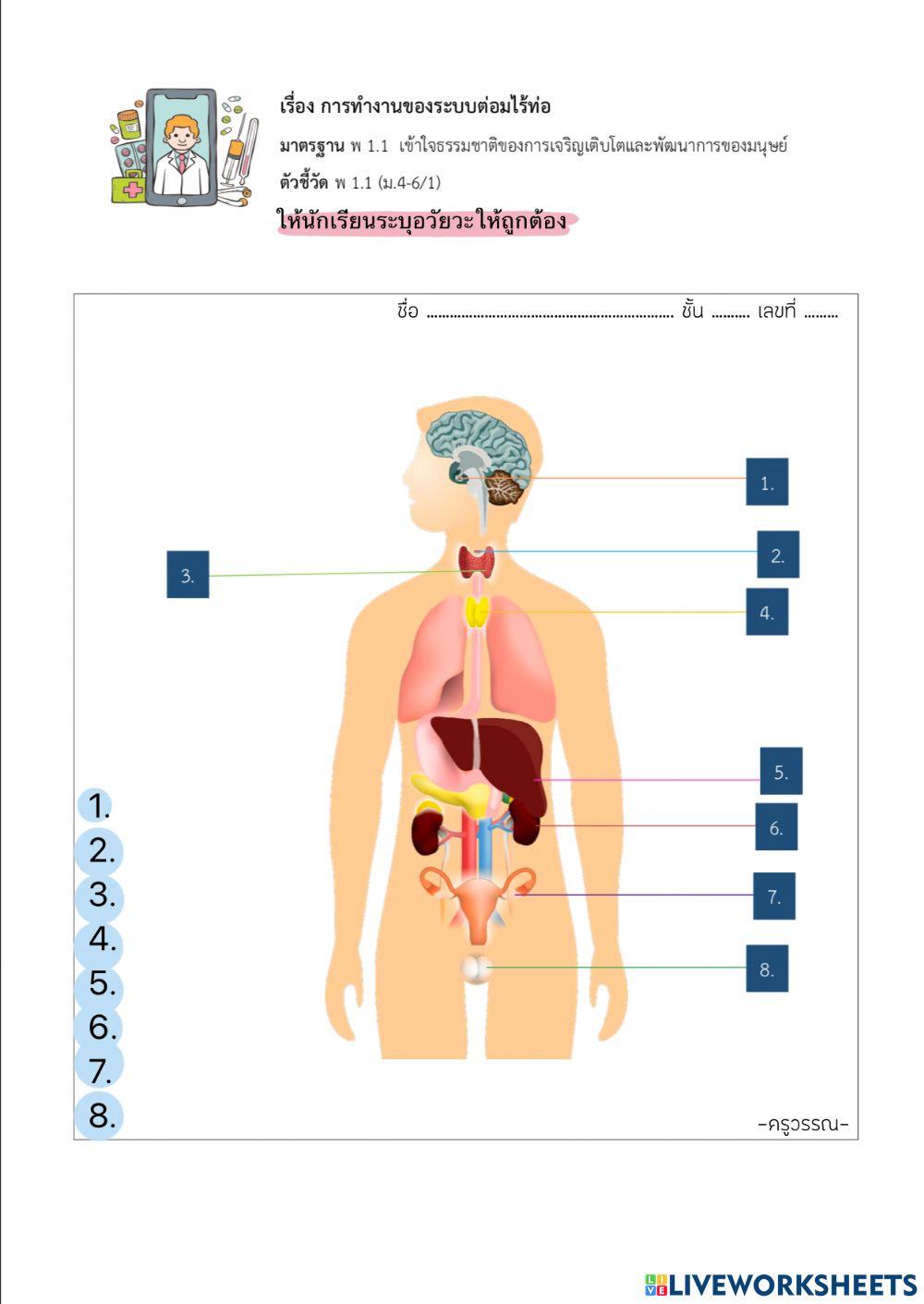ระบบในร่างกาย