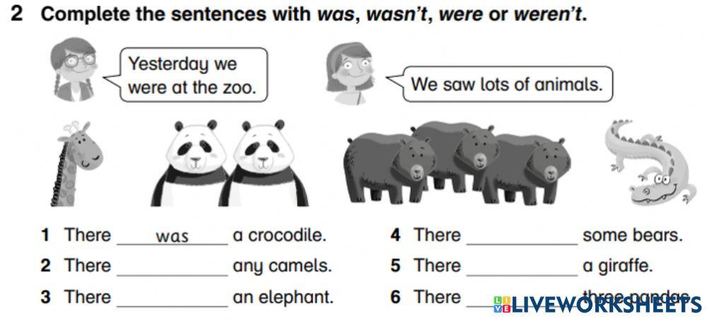 Academy Stars 3 Unit 8 Grammar