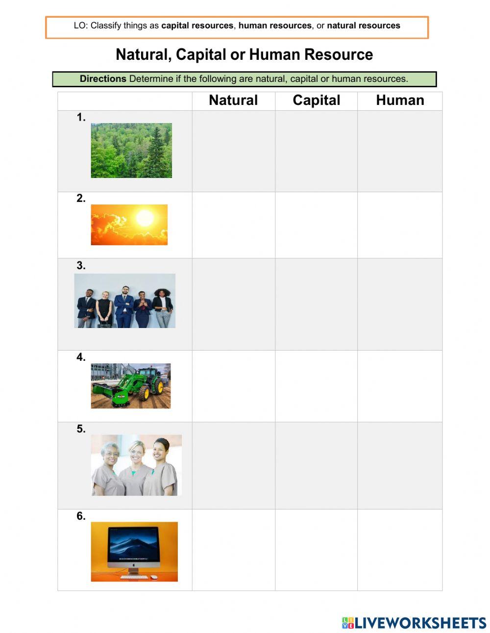 3380281 Natural Human And Capital Resources Task1 3380281-natural-human-and-capital-resources-task1