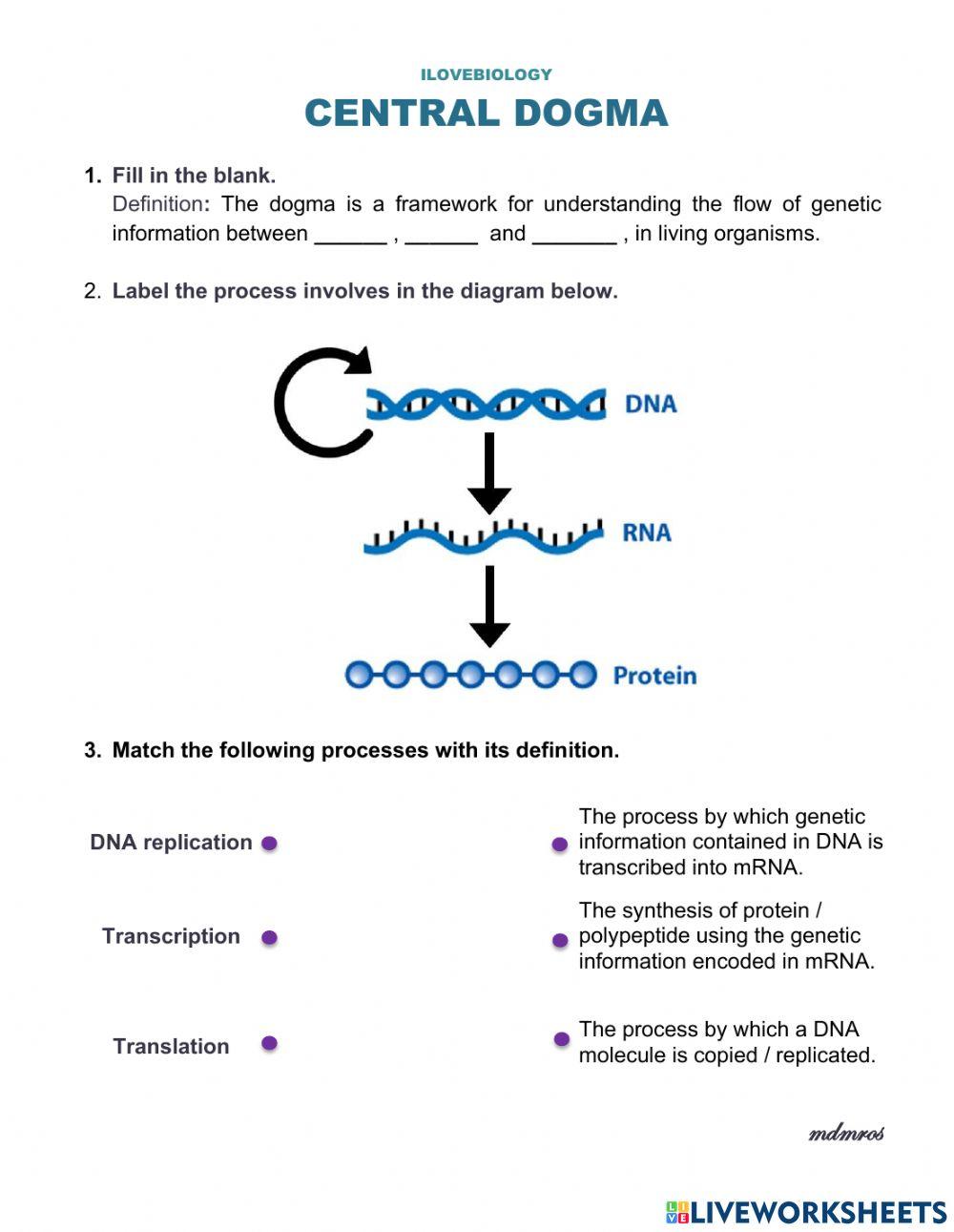 Central Dogma Worksheet
