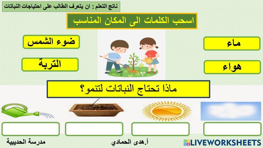 النباتات