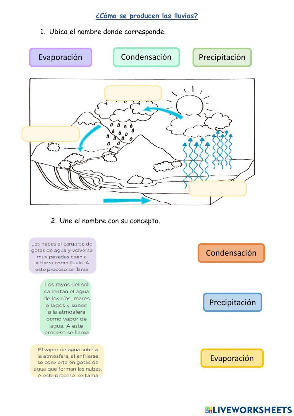 ¿Cómo se produce la lluvia?