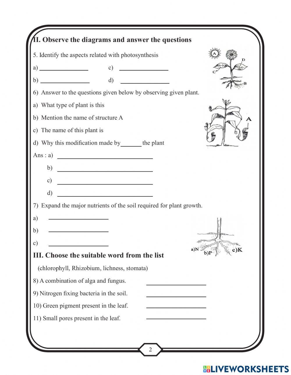 NCERT Class 7 C1 Nutrition In Plants Worksheet From EMWB ncert-class-7-c1-nutrition-in-plants-worksheet-from-emwb