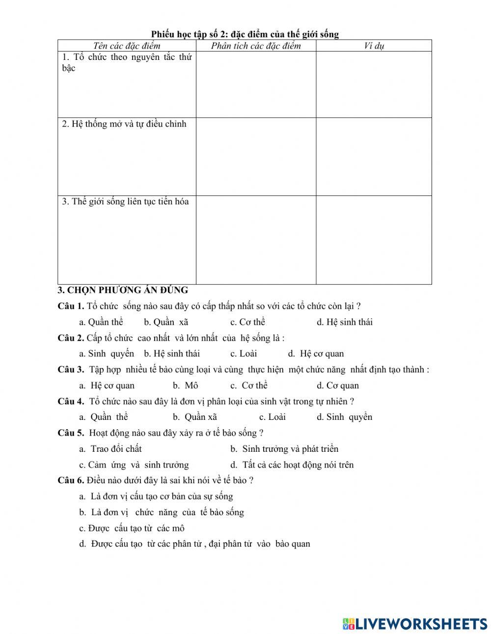 Cac cap to chuc cua the gioi song