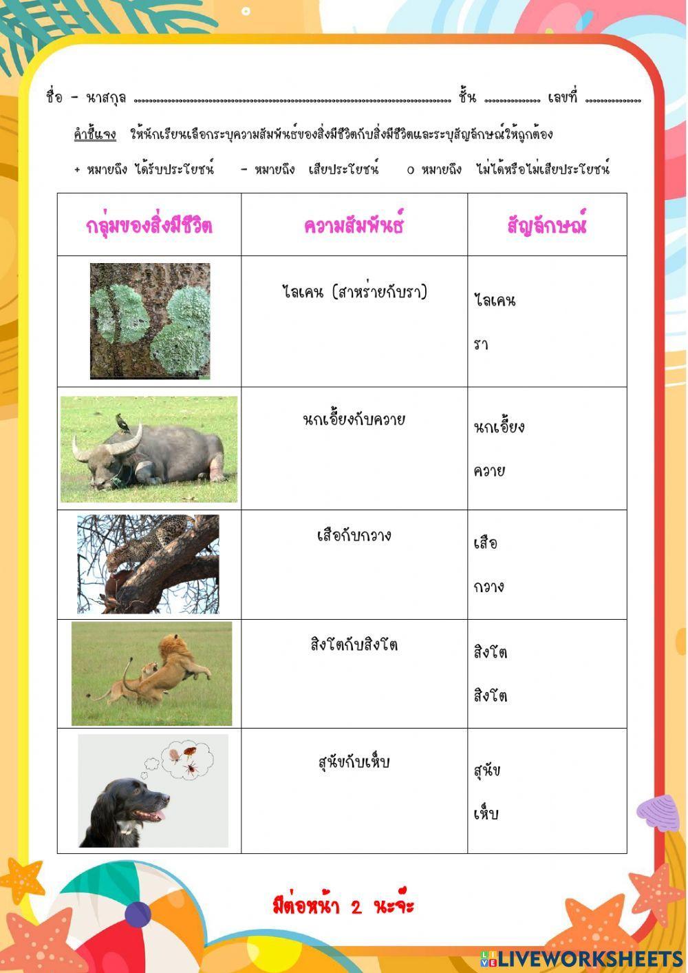 ความสัมพันธ์ของสิ่งแวดล้อม