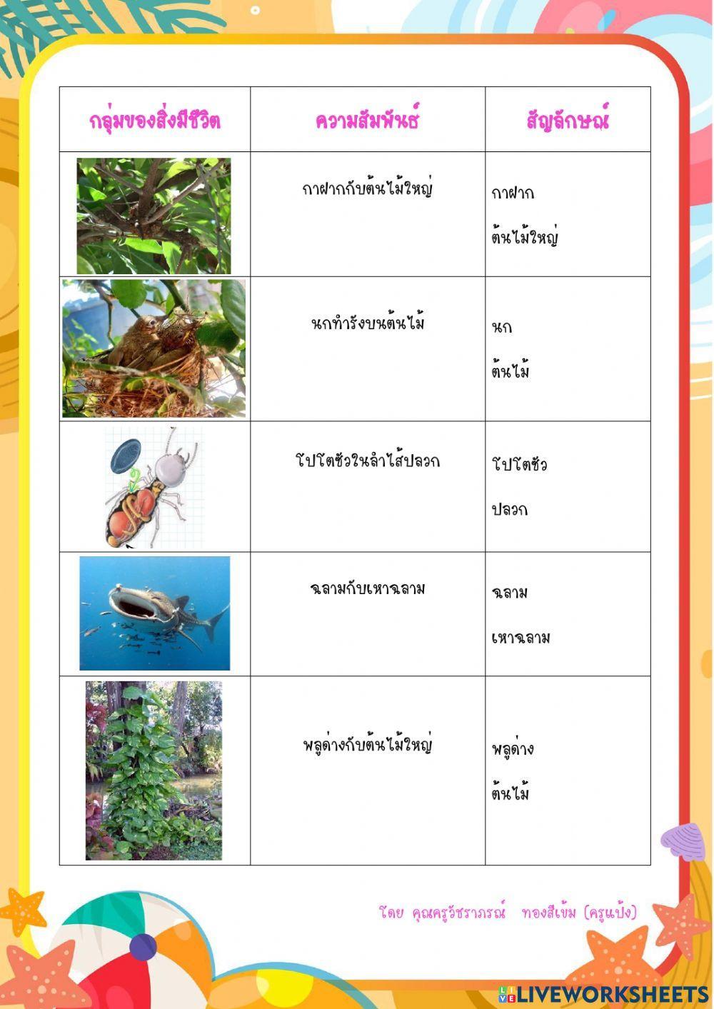 ความสัมพันธ์ของสิ่งแวดล้อม