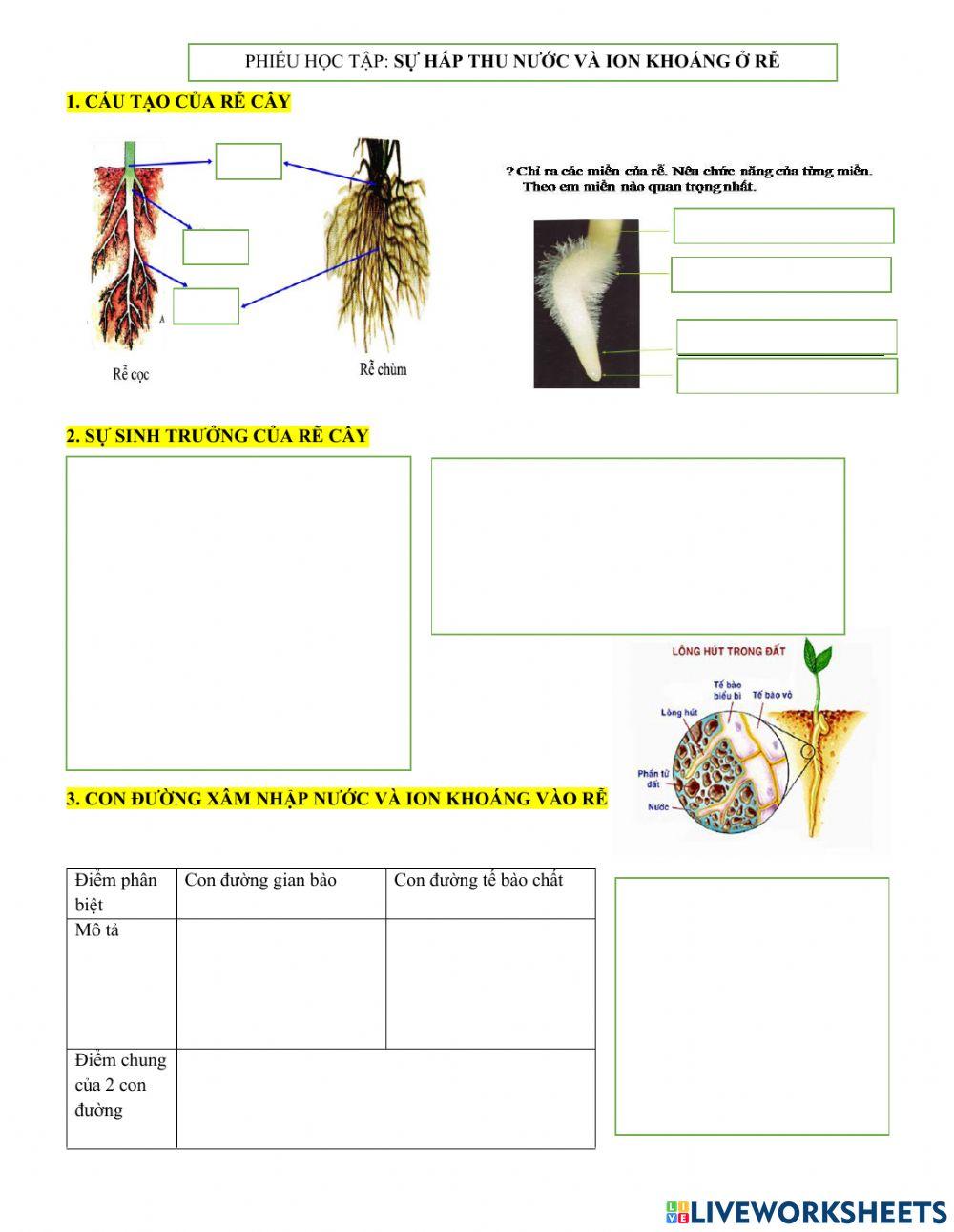 Trao doi nuoc va ion khoang (tiet1)