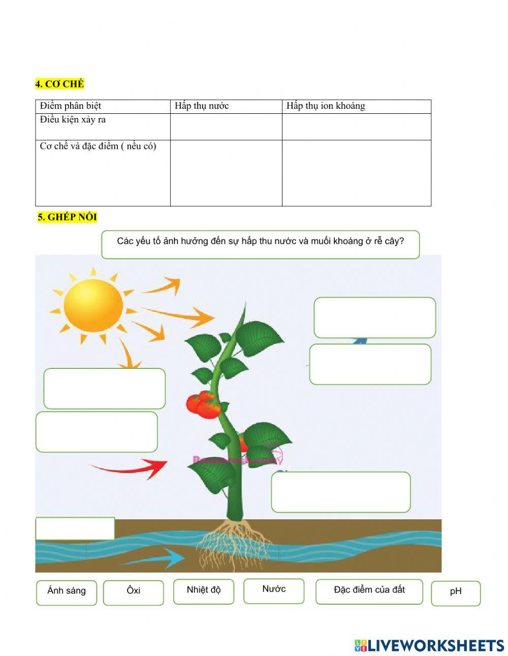 Trao doi nuoc va ion khoang (tiet1)