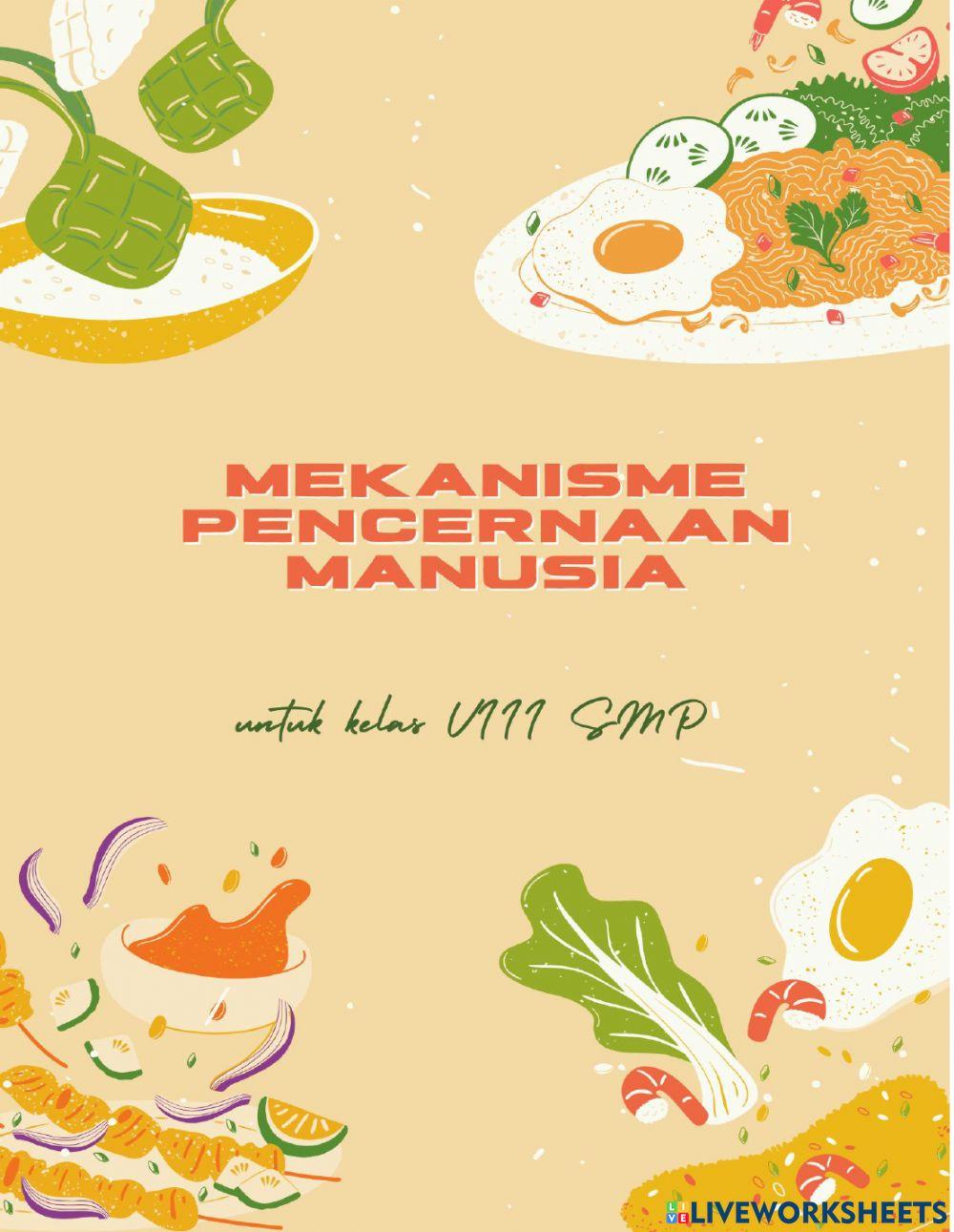 Mekanisme Pencernaan Makanan