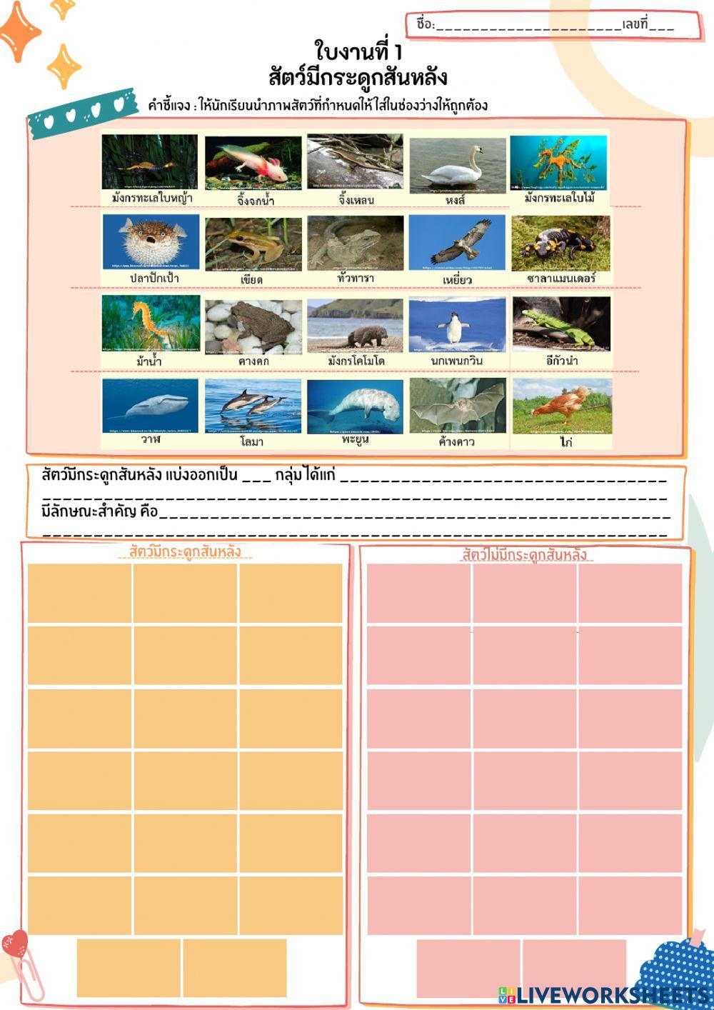 จำแนกสัตว์ 1