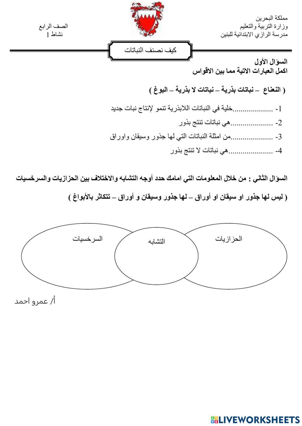 كيف تصنف النباتات