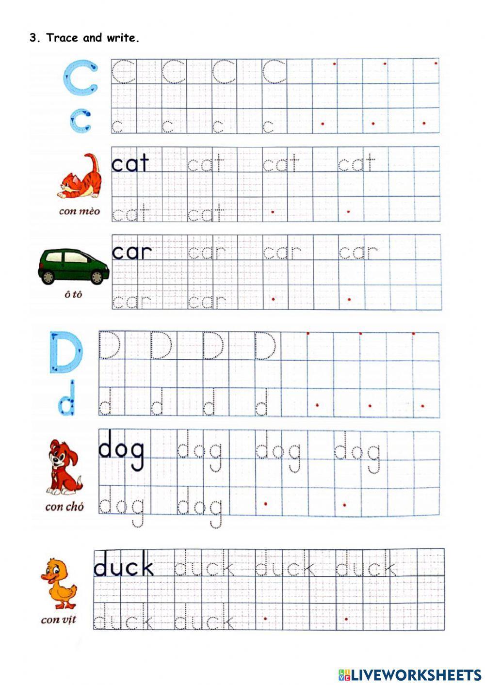 FF starter unit hello