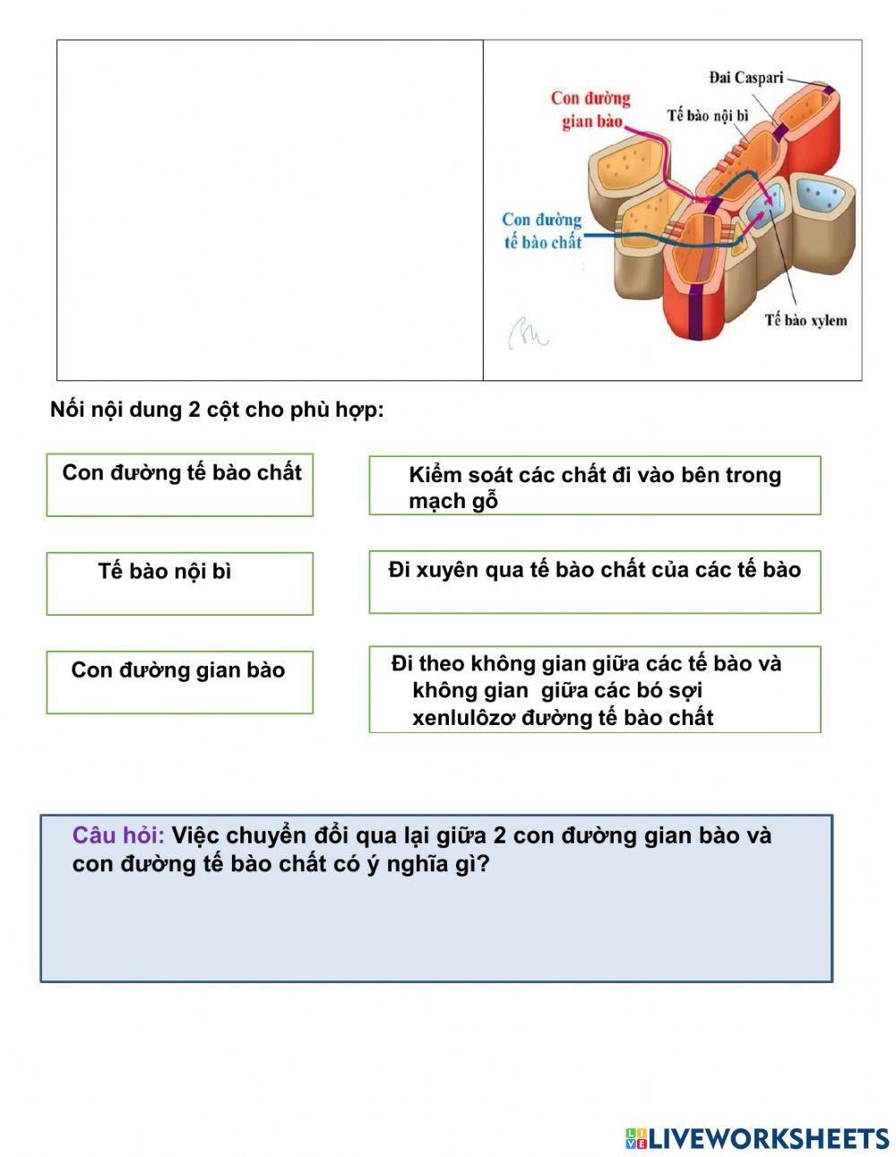 Bài 1 - Sinh học 11