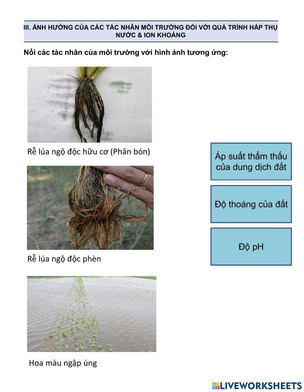 Bài 1 - Sinh học 11