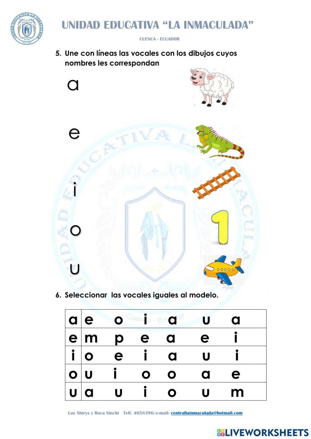Evaluación diagnóstica lengua