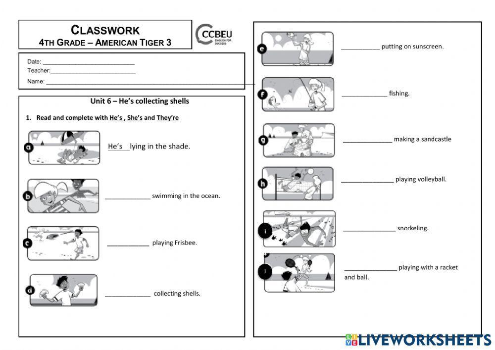 He’s collecting shells