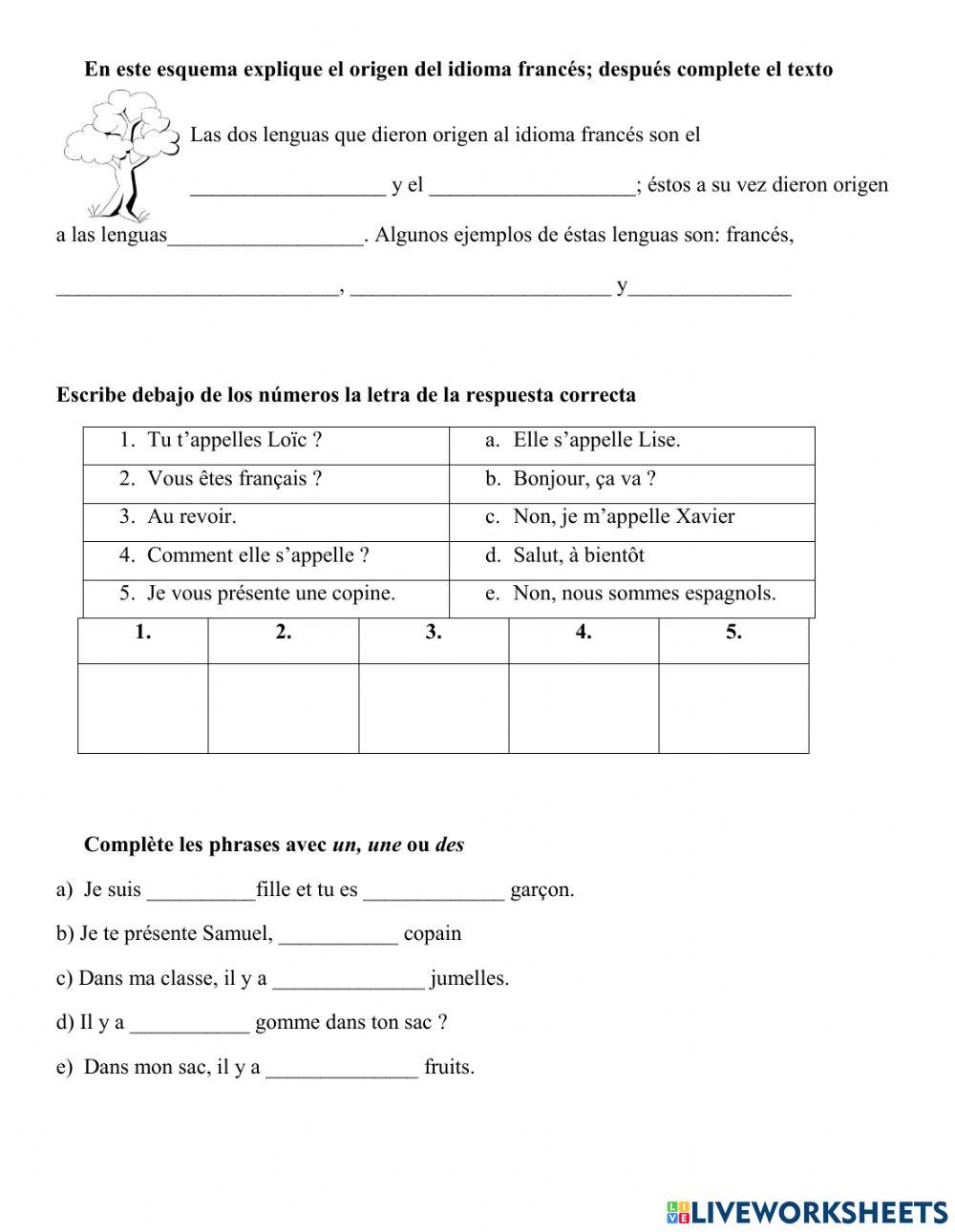 Examen 1° ABC BEGINNERS